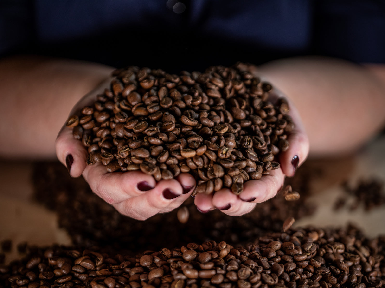 Copper Door Coffee Roasters — Lowry photo 2